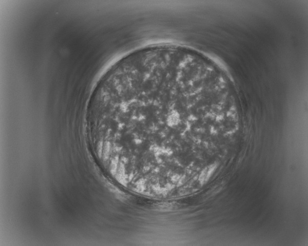 X0000080811279200701122231