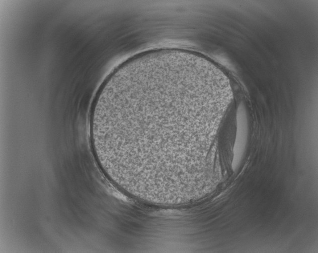 X0000080811280200701122231