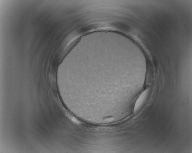 X0000080811281200701122231