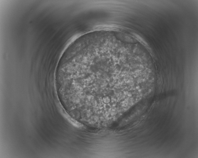 X0000080811283200701122231