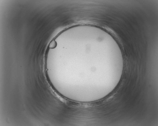 X0000080811286200701122231