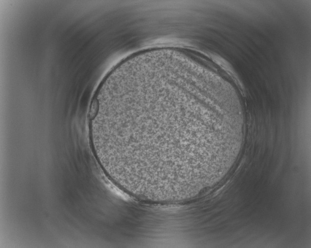 X0000080811288200701122231