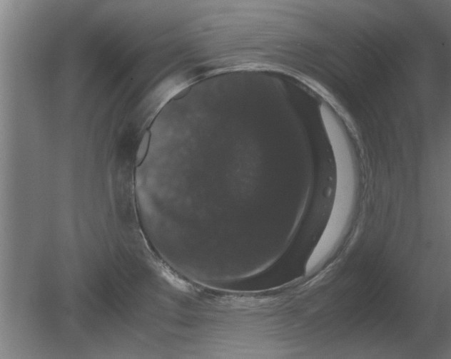 X0000080811289200701122231