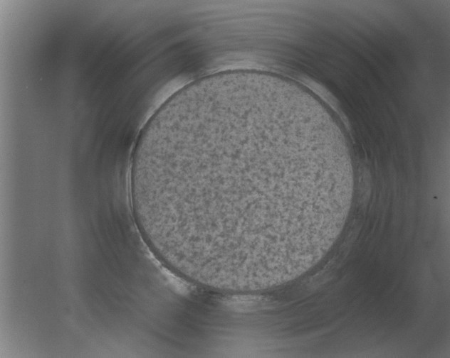 X0000080811290200701122231