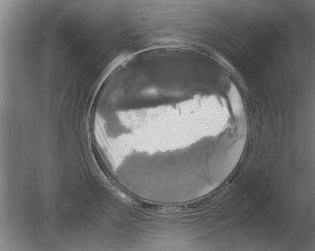 X0000080811291200701122231