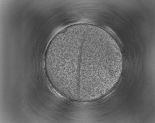 X0000080811292200701122231