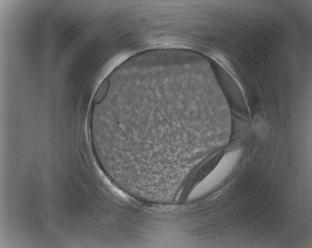 X0000080811293200701122231