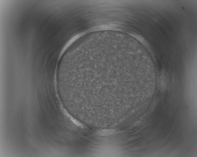 X0000080811294200701122231