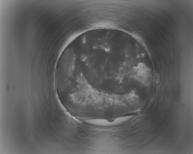 X0000080811295200701122231