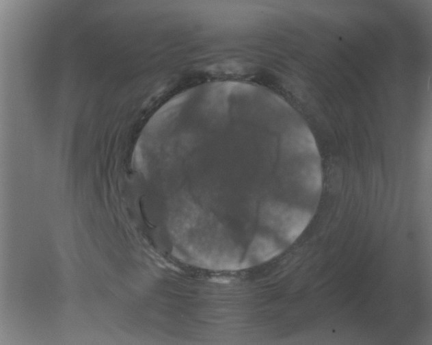 X0000080811297200701122230