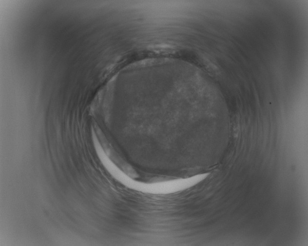 X0000080811298200701122230