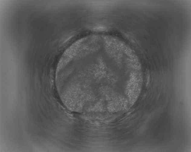 X0000080811301200701122230