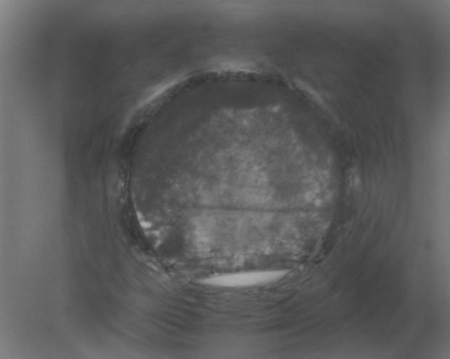 X0000080811303200701122230