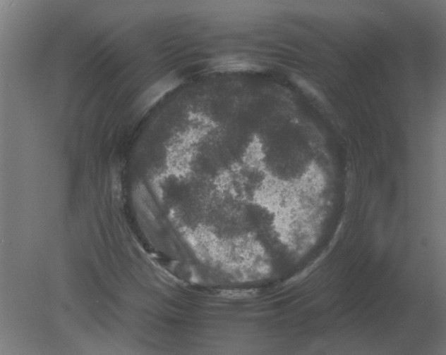 X0000080811305200701122230