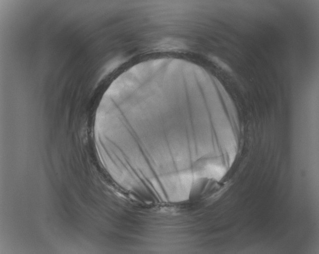 X0000080811306200701122230