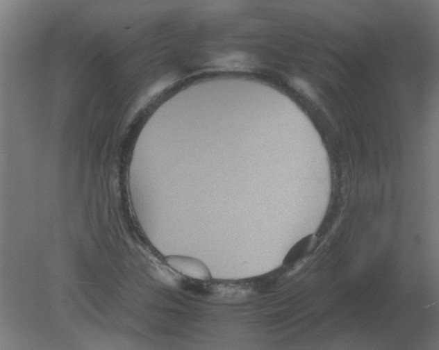 X0000080811307200701122230