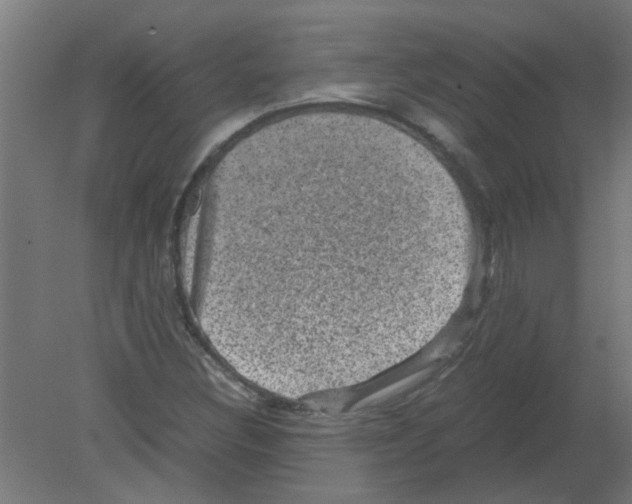 X0000080811308200701122230