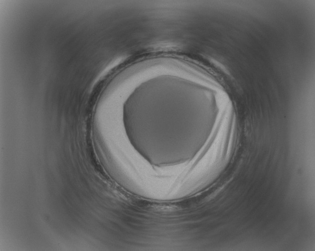 X0000080811309200701122230