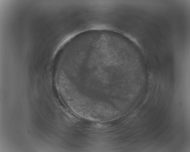 X0000080811311200701122230