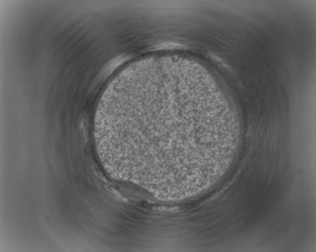 X0000080811313200701122230