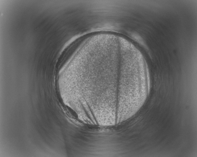 X0000080811316200701122230