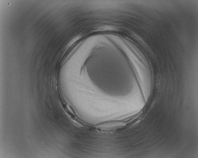 X0000080811321200701122230