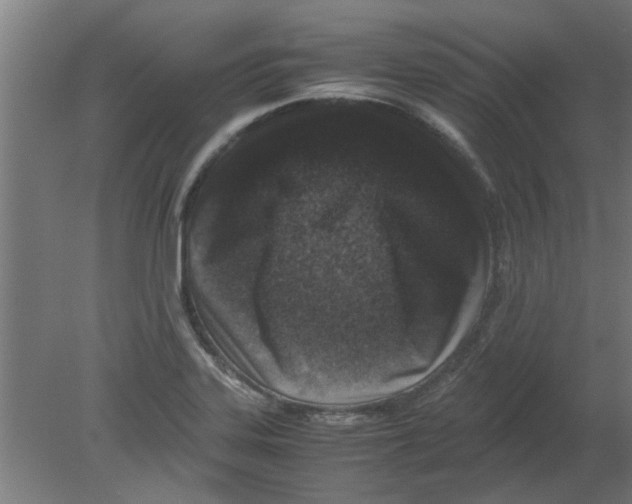 X0000080811323200701122230