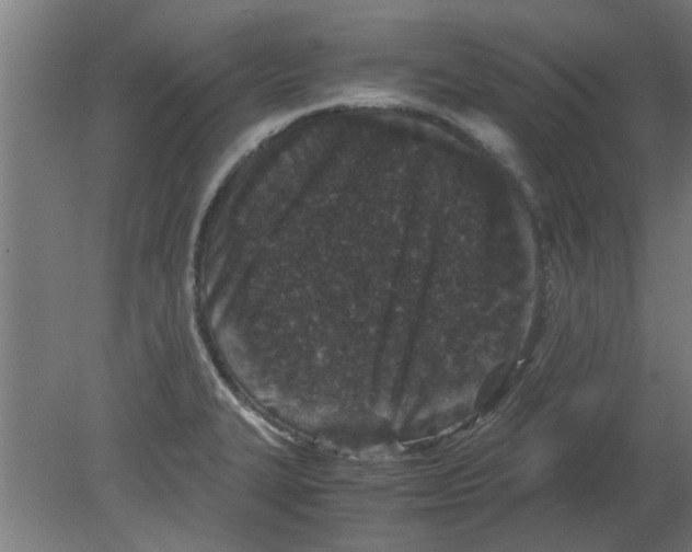 X0000080811327200701122230