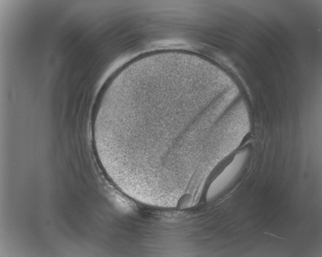 X0000080811328200701122230