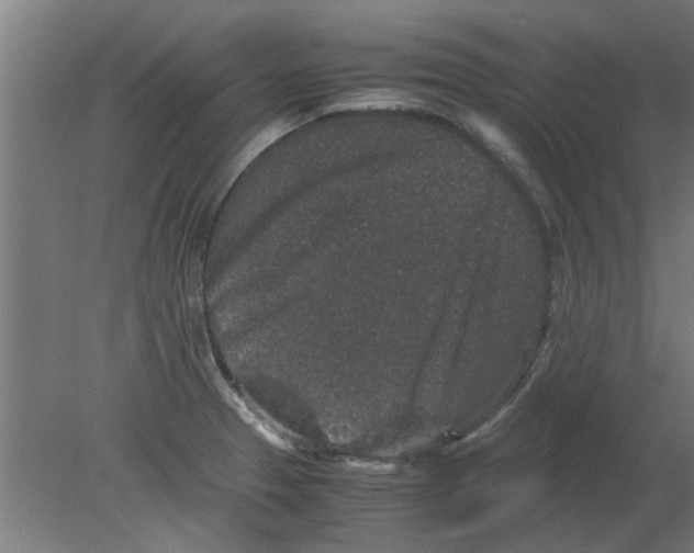 X0000080811329200701122231