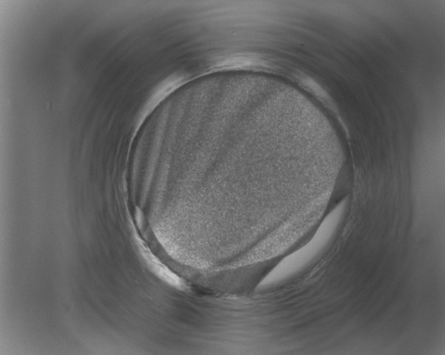 X0000080811330200701122231