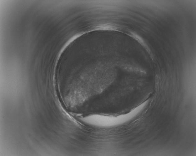 X0000080811331200701122231