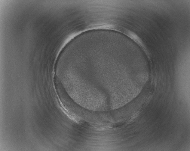 X0000080811332200701122231