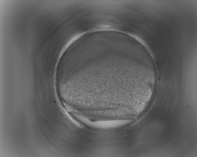 X0000080811333200701122231