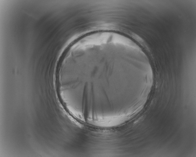 X0000080811334200701122231