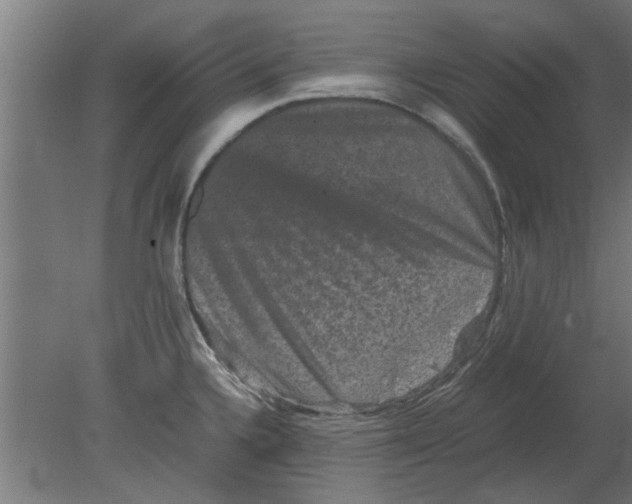 X0000080811336200701122231