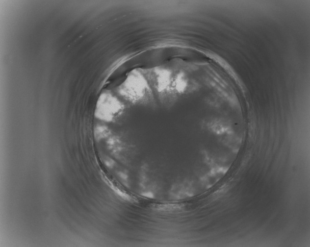 X0000080811337200701122231