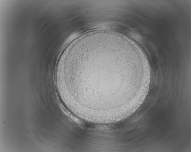 X0000080811338200701122231