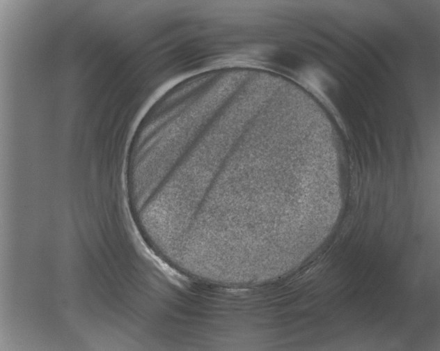 X0000080811339200701122231