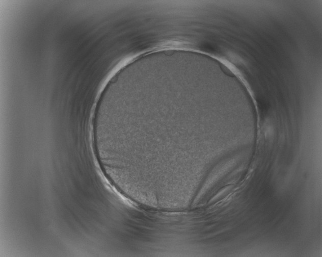 X0000080811341200701122231