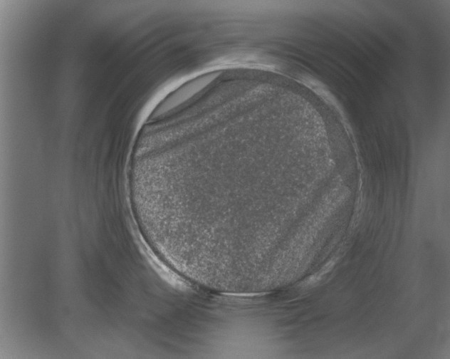 X0000080811344200701122231