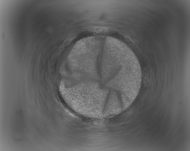 X0000080811345200701122230