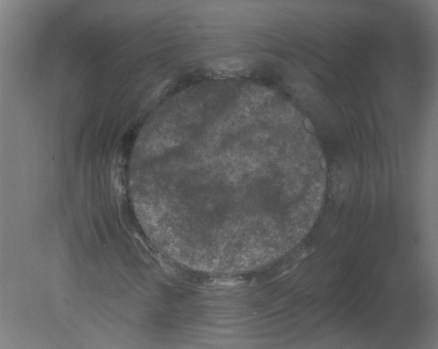 X0000080811346200701122230