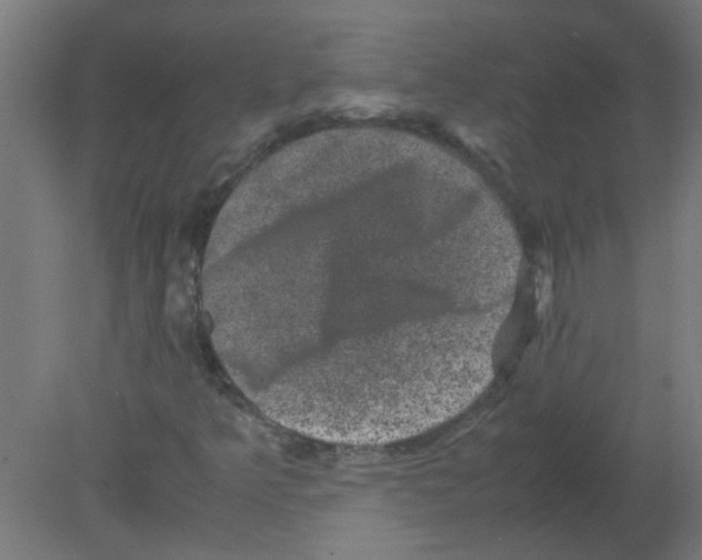 X0000080811349200701122230