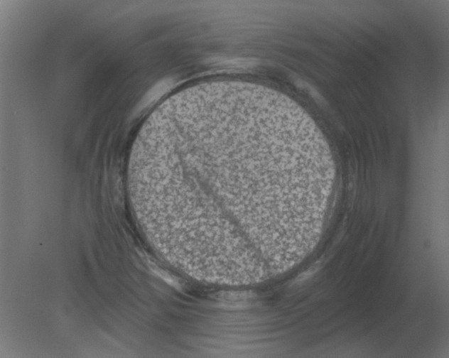 X0000080811354200701122230