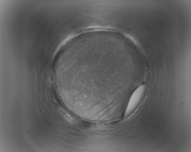 X0000080811357200701122230