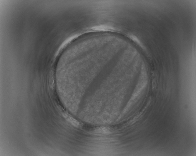 X0000080811358200701122230