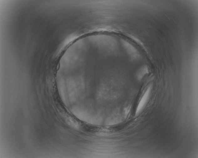 X0000080811359200701122230