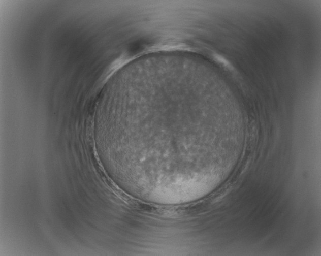 X0000080811361200701122230