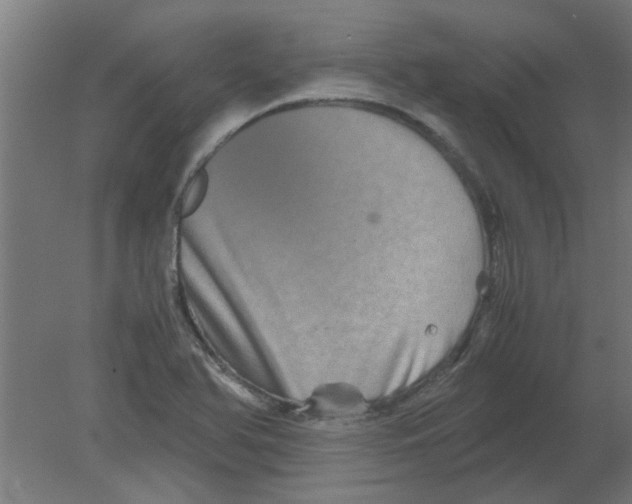 X0000080811366200701122230